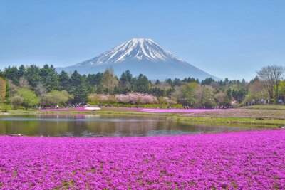  | 絶景事典