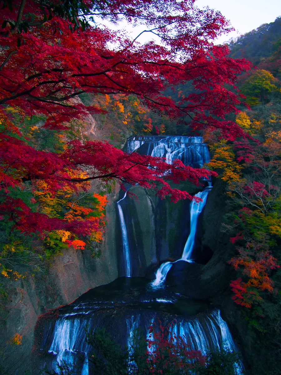 投稿写真：紅葉の瀑布