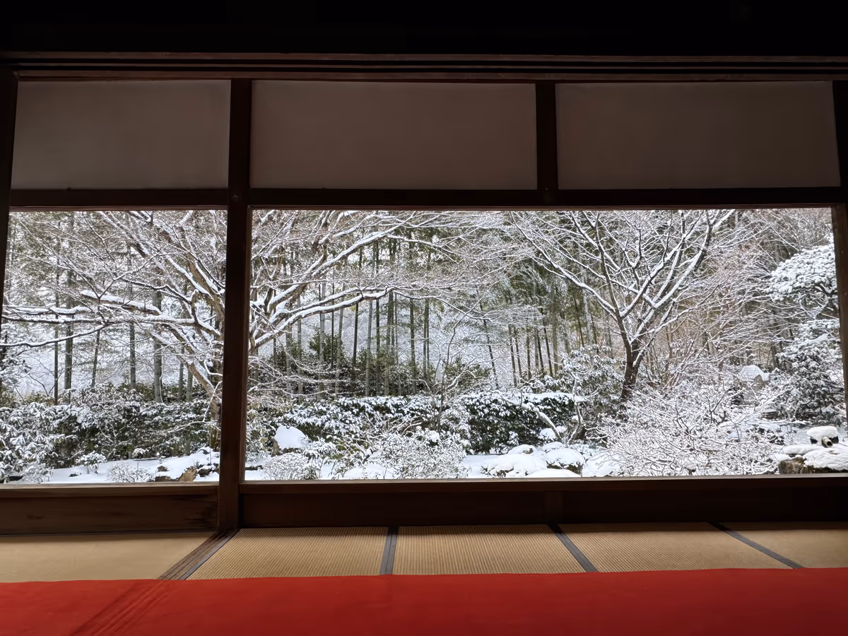 投稿写真：寒さを忘れる程の絶景❄️雪景色の額縁庭園