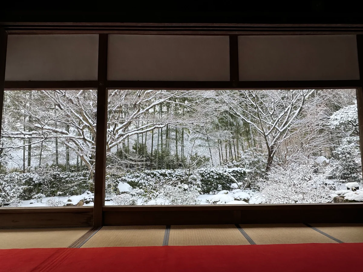 投稿写真：寒さを忘れる程の絶景❄️雪景色の額縁庭園