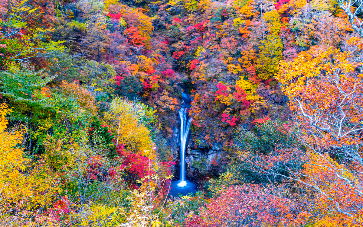 投稿写真：紅葉の駒止の滝