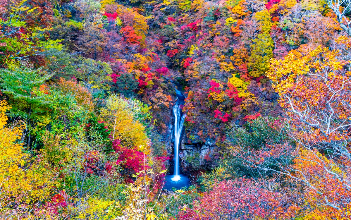 投稿写真：紅葉の駒止の滝