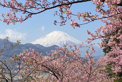  | 絶景事典