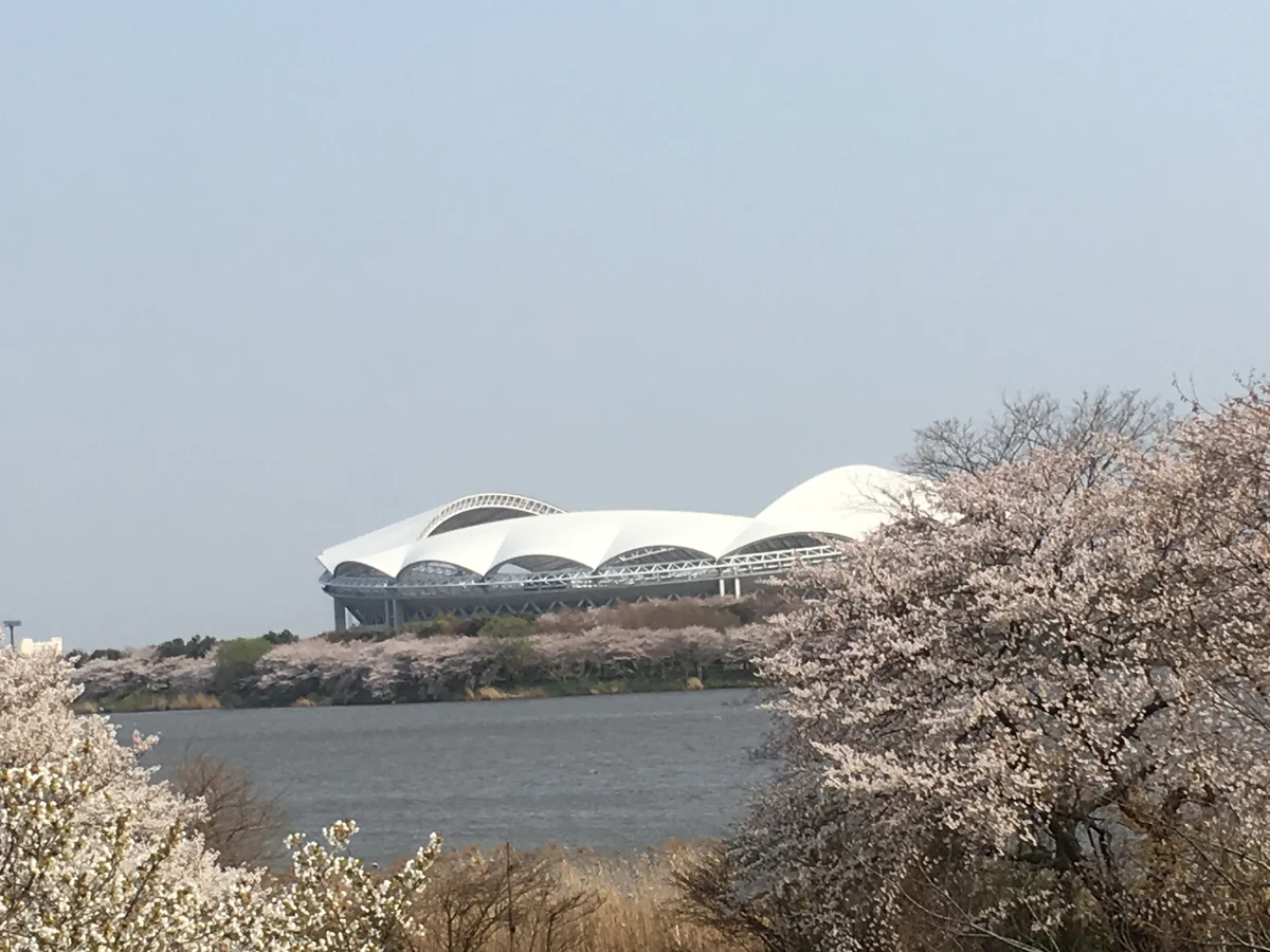 投稿写真：鳥屋野潟公園から見たデンカビッグスワンスタジアム