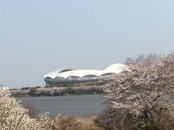 投稿：鳥屋野潟公園から見たデンカビッグスワンスタジアム