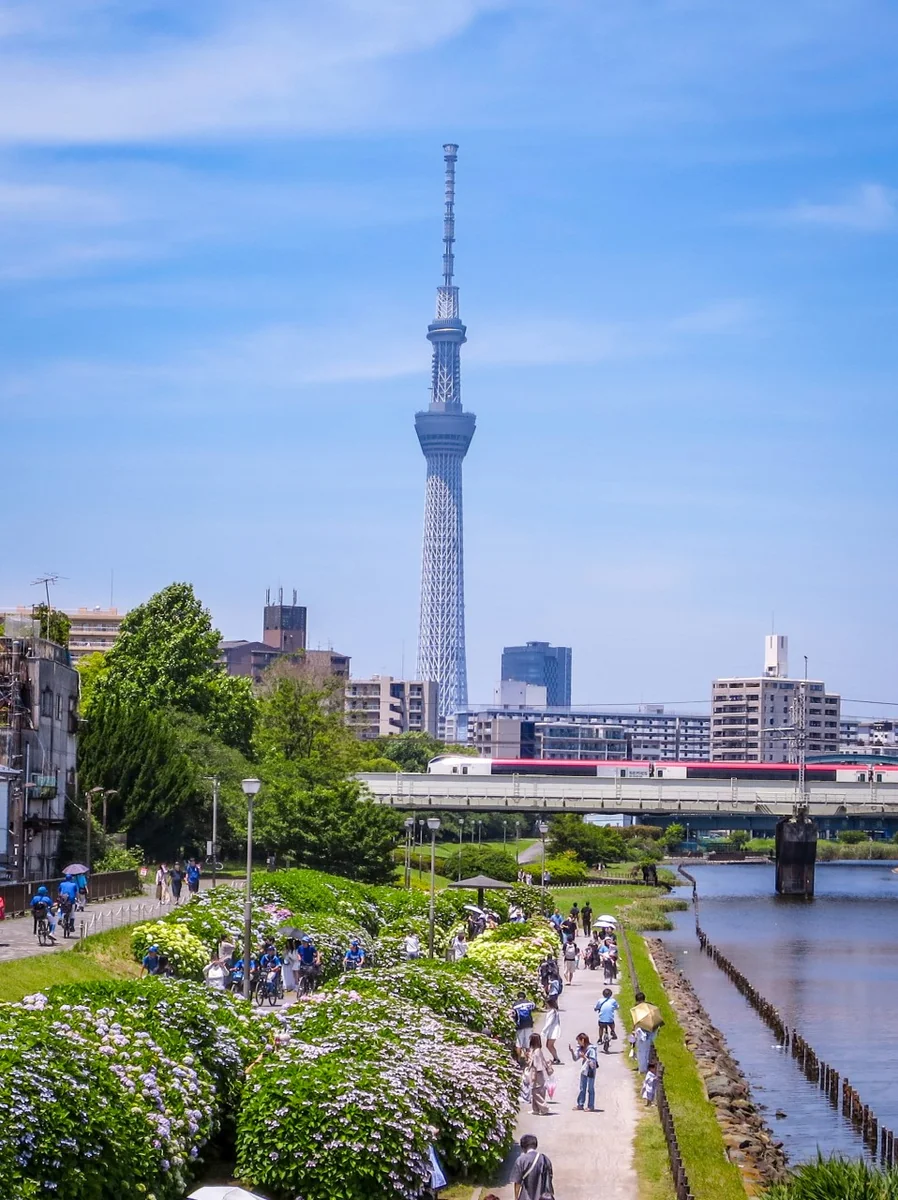投稿写真：成田エクスプレスとスカイツリー