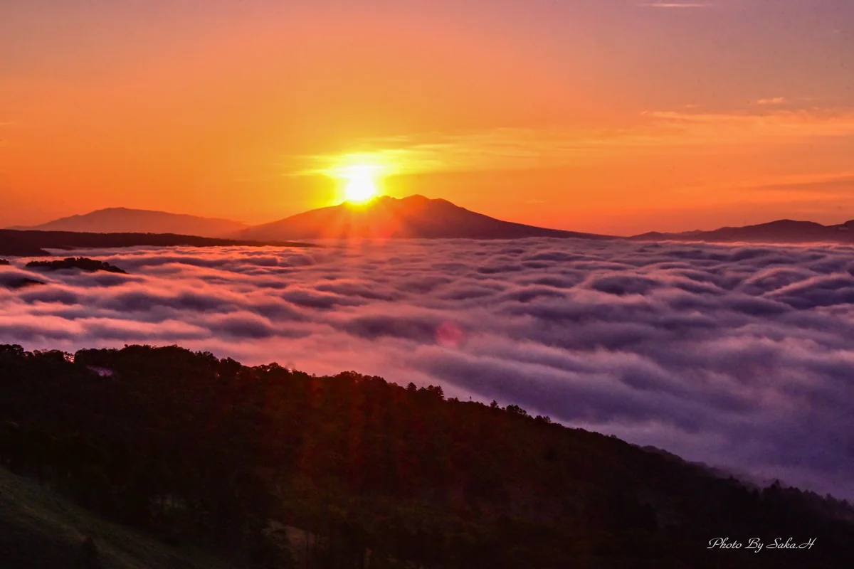 投稿写真：美幌峠の日の出