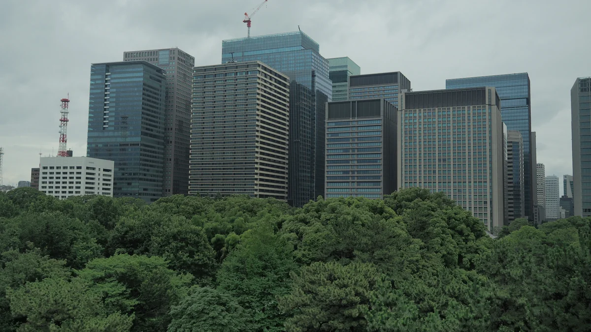 投稿写真：丸ノ内ビル群