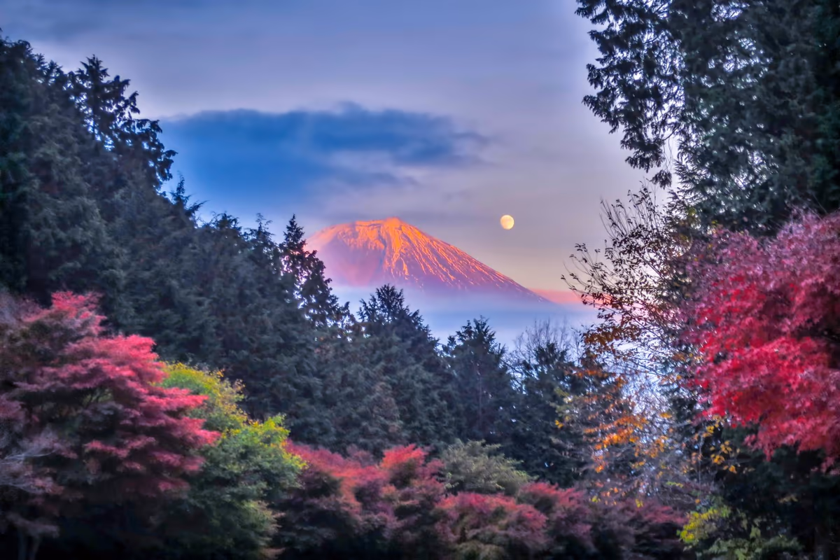 投稿写真：紅葉と月と紅富士