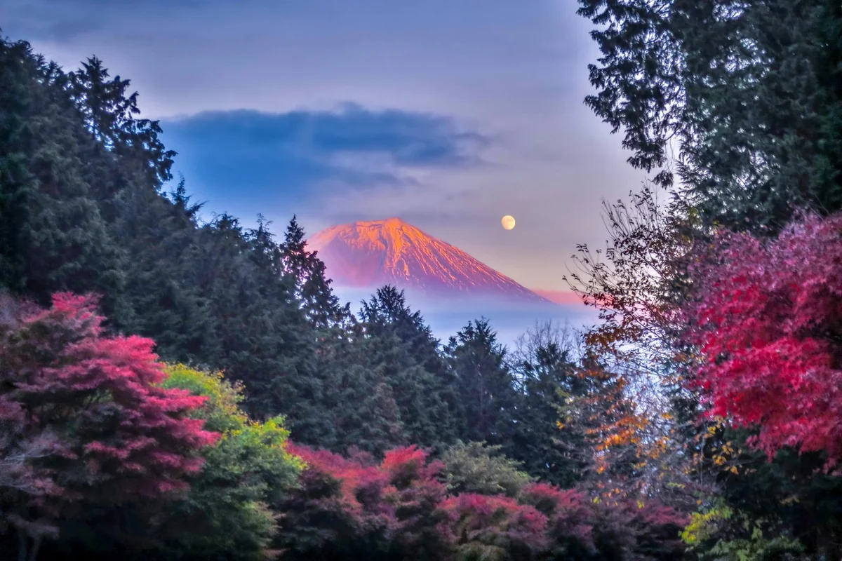 投稿写真：紅葉と月と紅富士