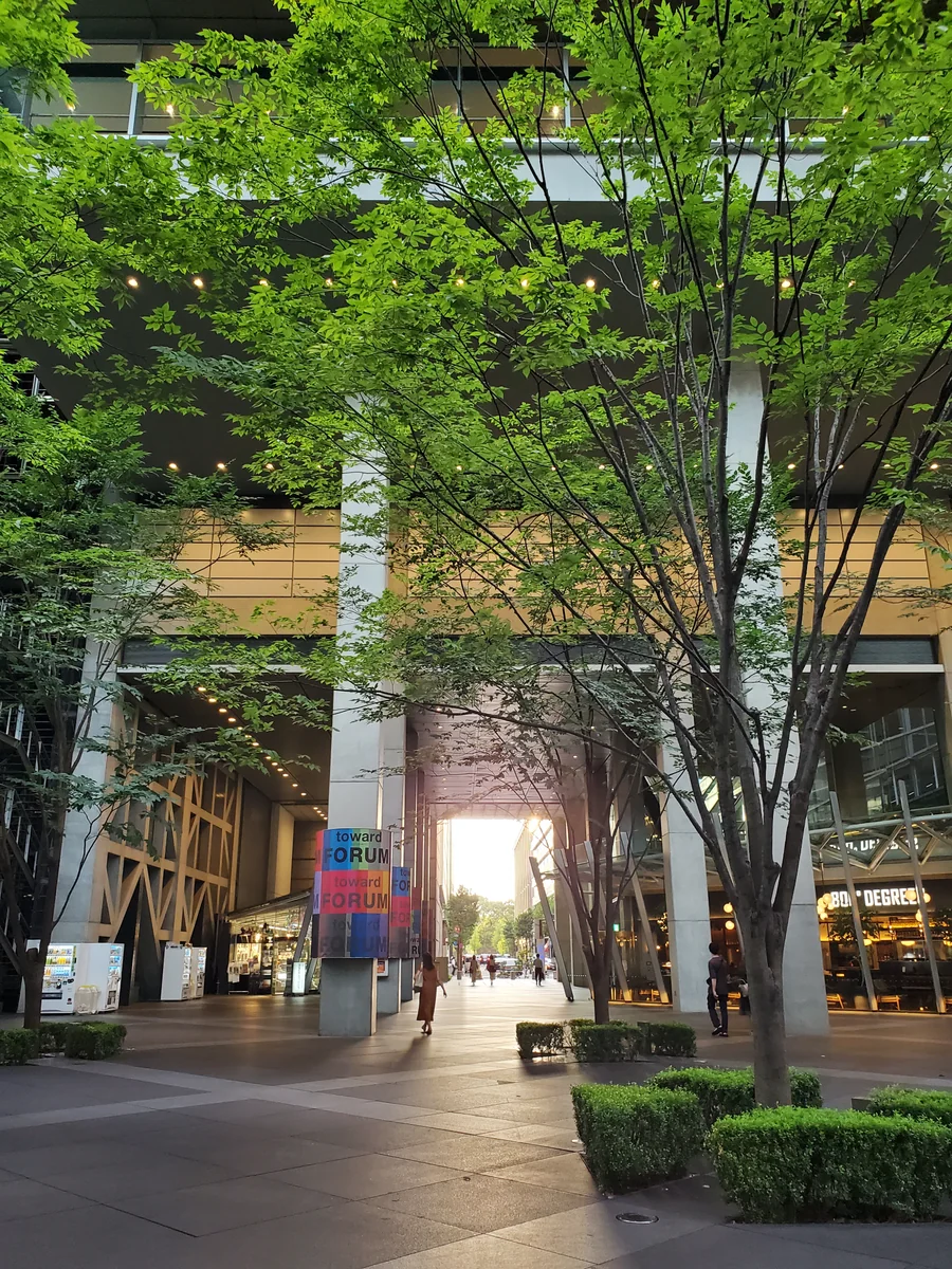 投稿写真：吹き抜ける風