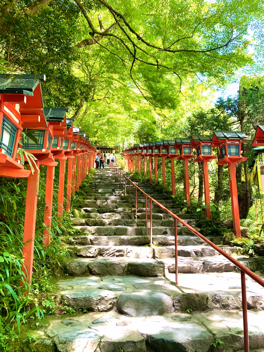 投稿写真：新緑、青もみじの貴船神社
