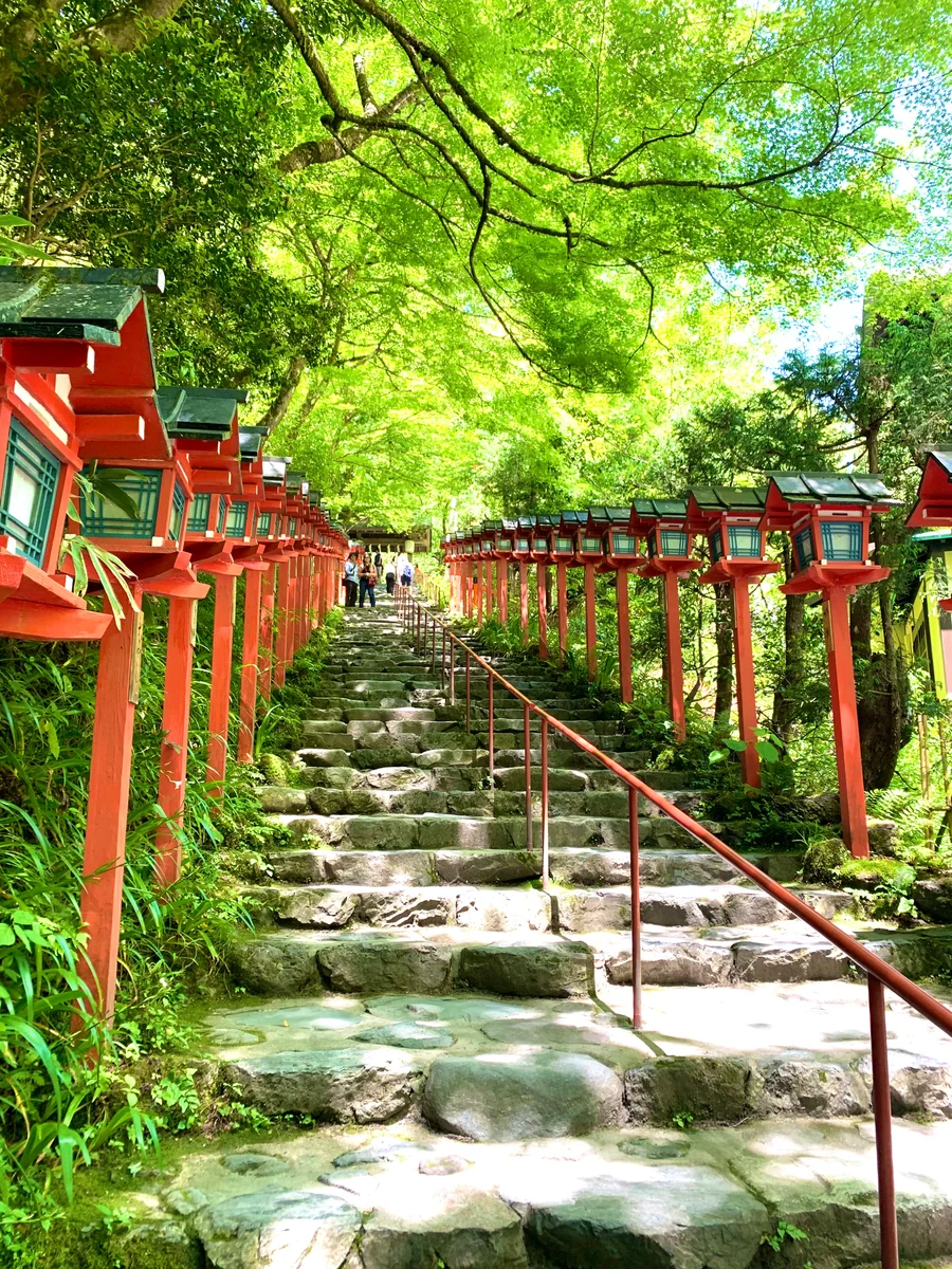 投稿写真：新緑、青もみじの貴船神社