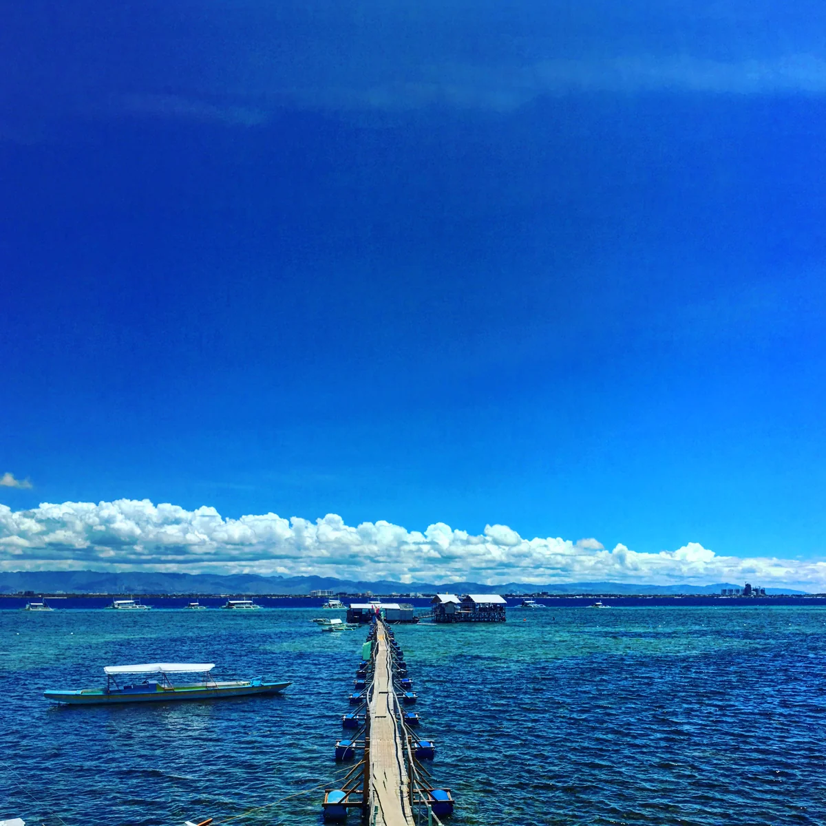 Hotta Yasushiさんの投稿写真