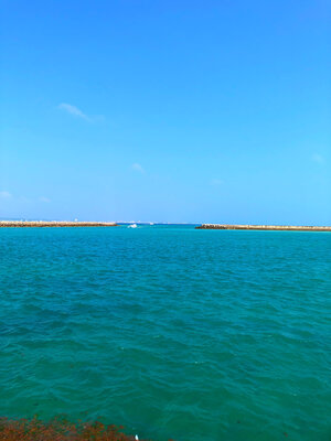  | 絶景事典