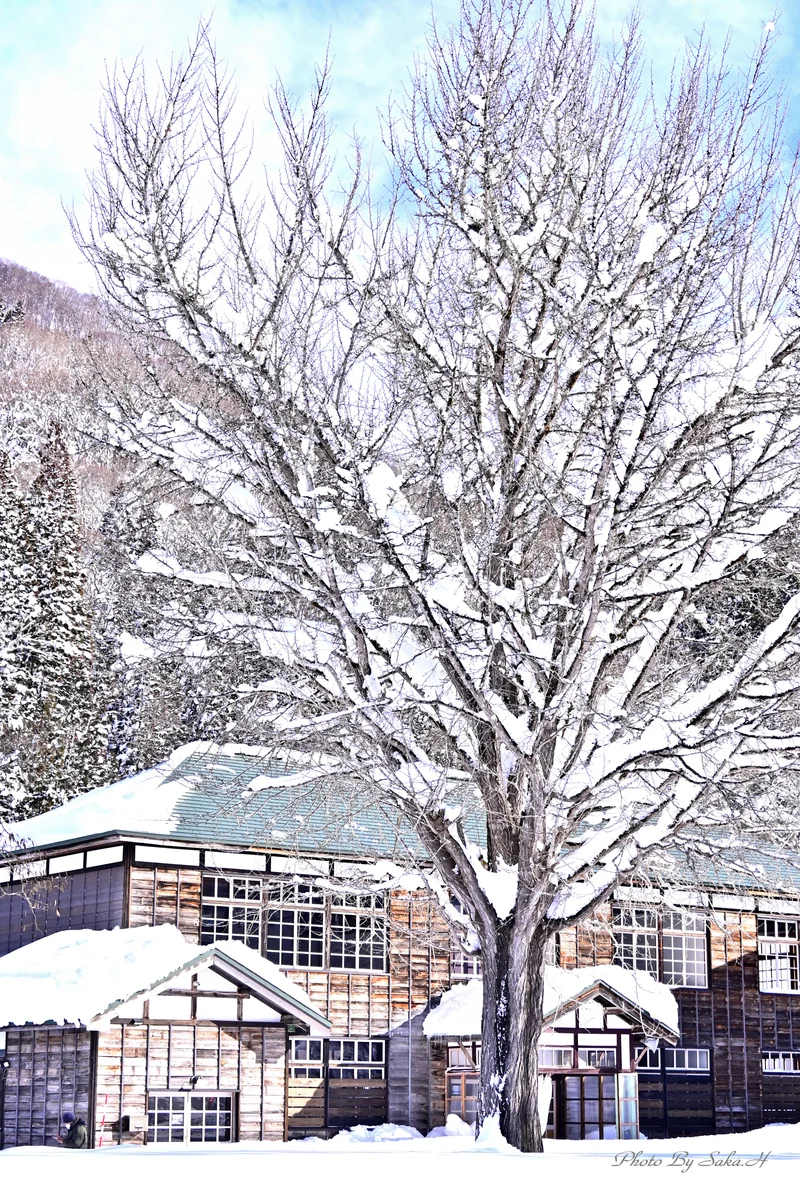 投稿写真：廃校の冬