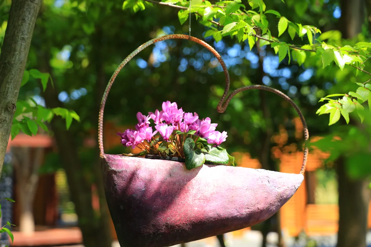 投稿写真：浜名湖ガーデンパーク