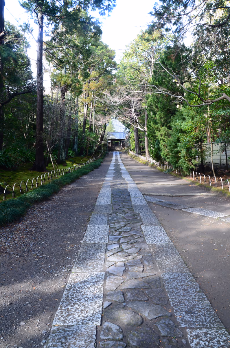 投稿写真：寿福寺参道