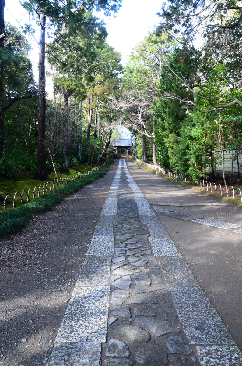 投稿写真：寿福寺参道