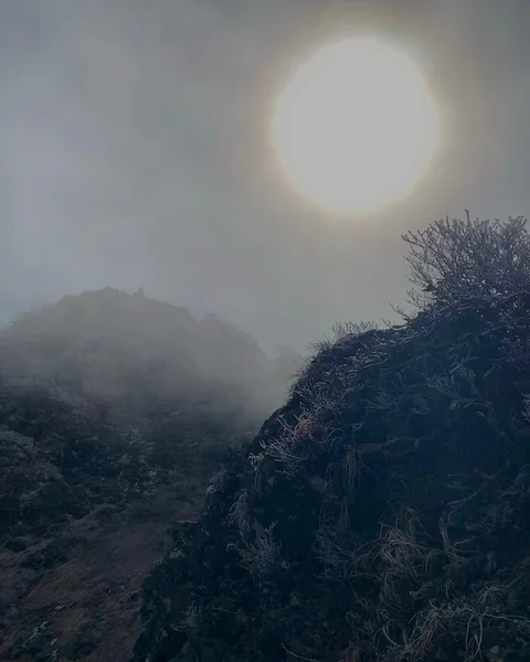 投稿：霧の谷川岳