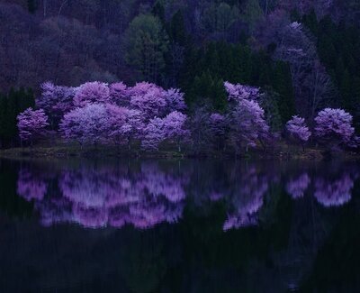  | 絶景事典