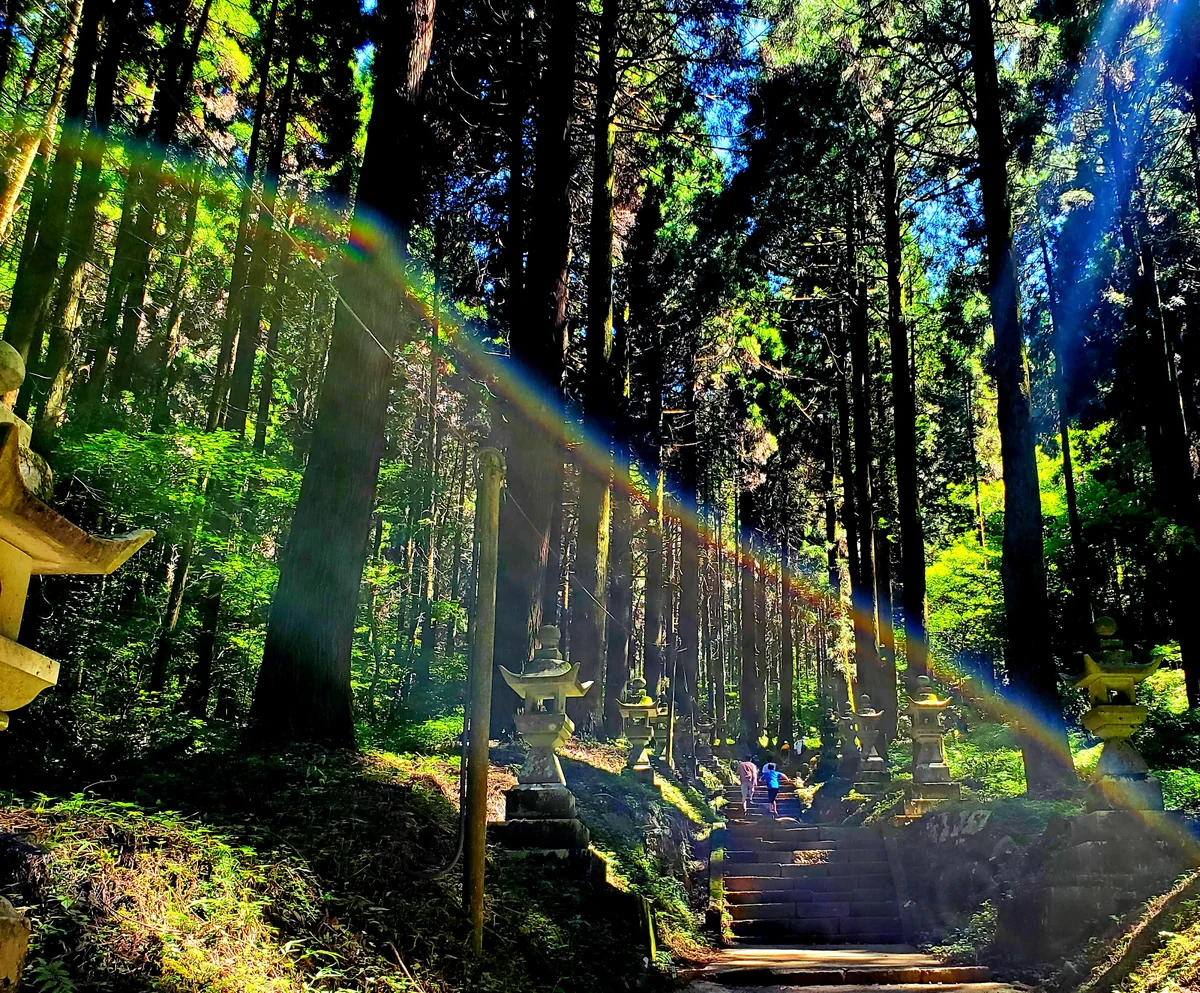 投稿写真：日射しが虹色🏳️‍🌈