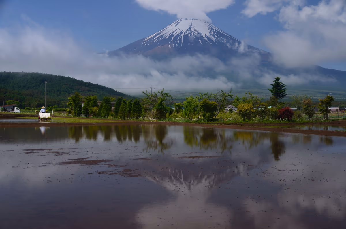 投稿写真：田植えの季節
