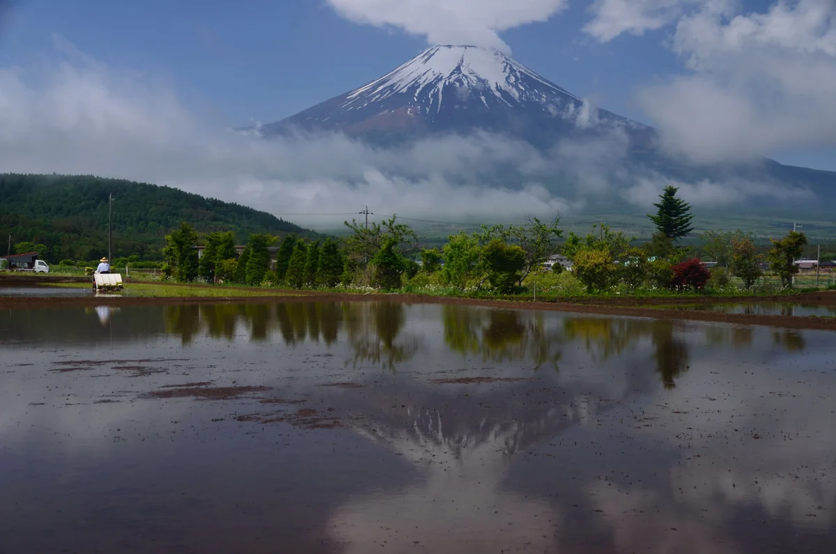 投稿写真：田植えの季節