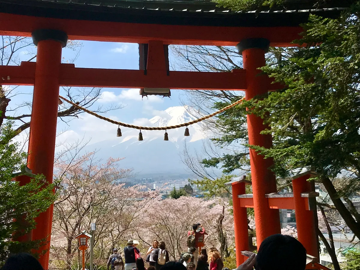 投稿写真：新倉富士浅間神社からの富士山