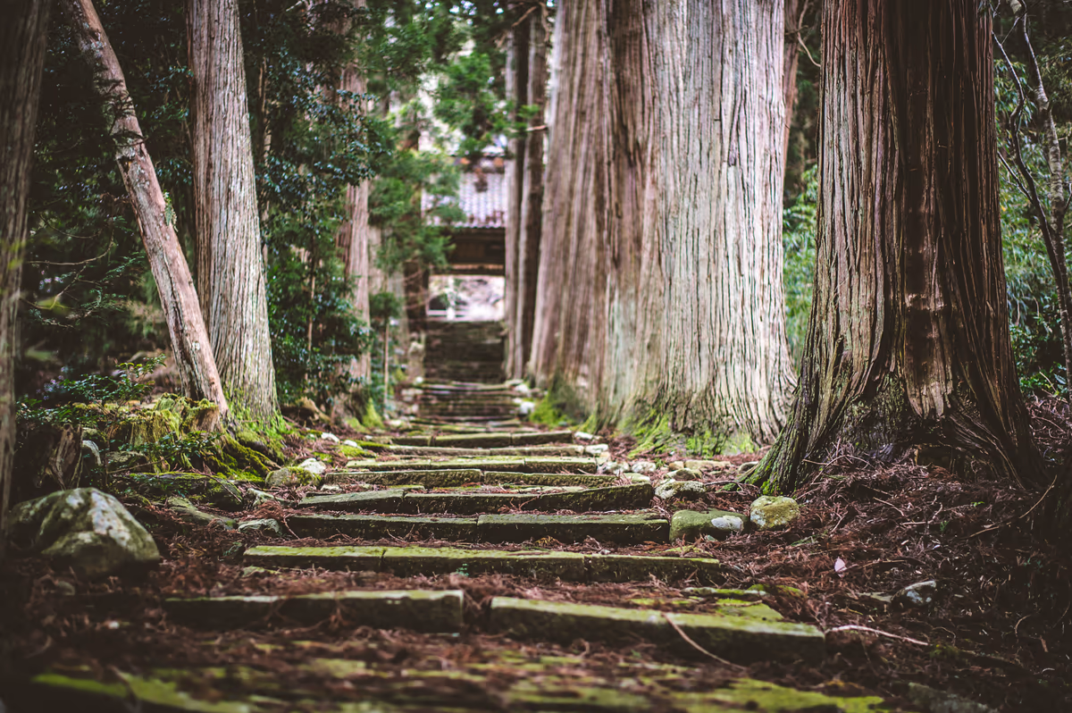 投稿写真：島の神社