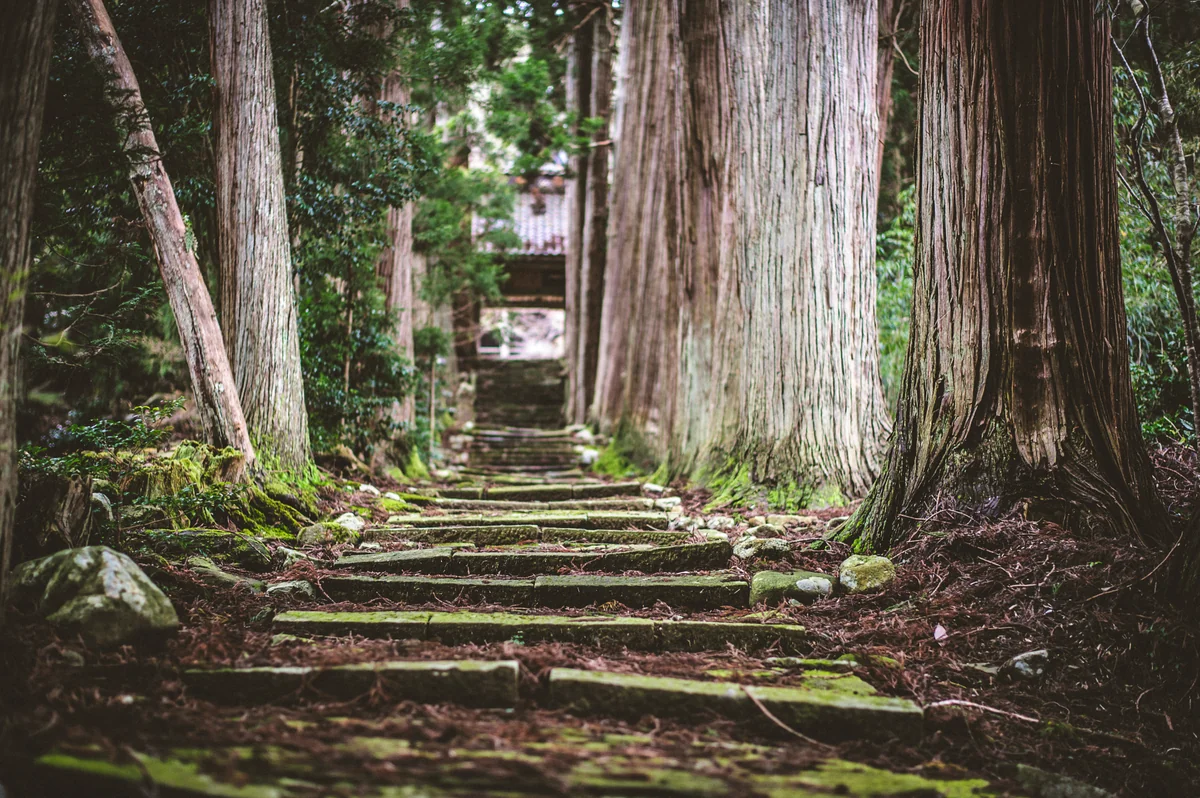 投稿写真：島の神社