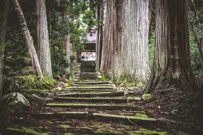  | 絶景事典