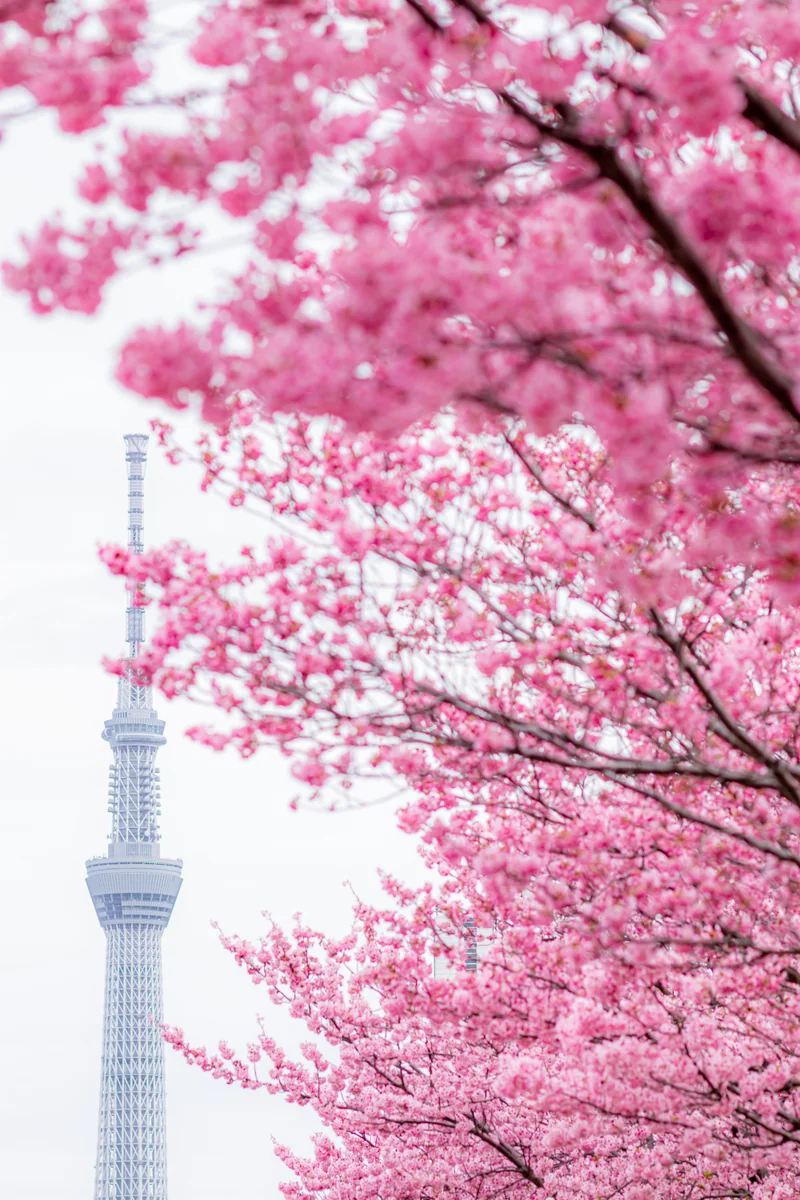 KNDさんの投稿写真