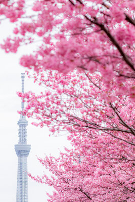  | 絶景事典