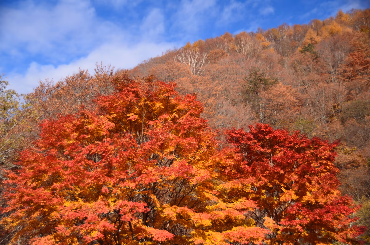投稿写真：奥鬼怒　秋色の山