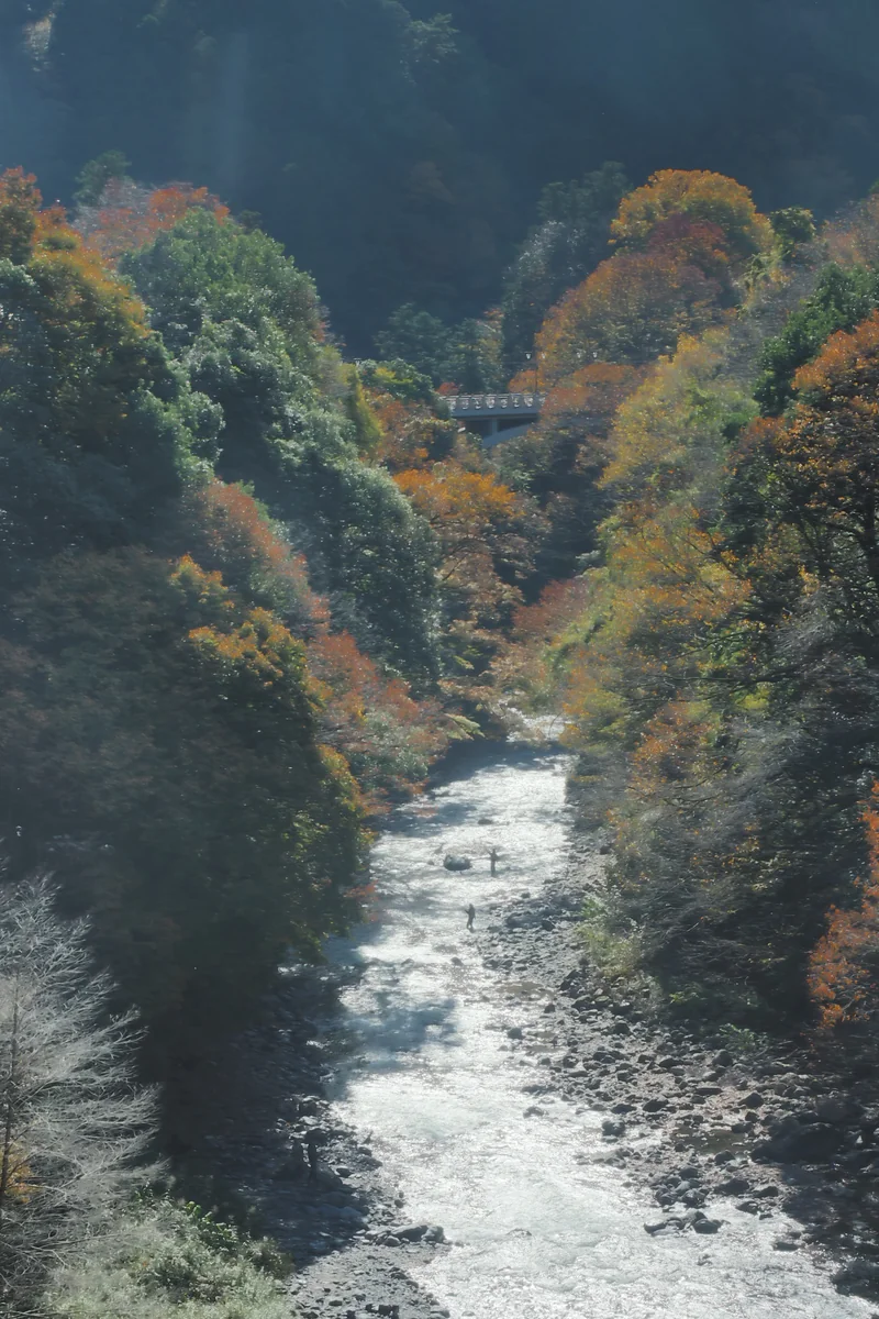 投稿写真：奥多摩　秋の氷川渓谷