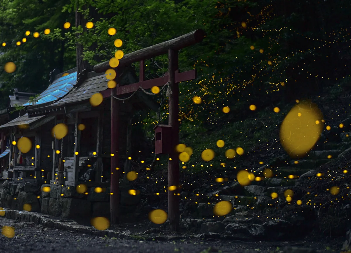 投稿写真：守り神