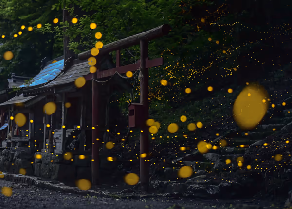 投稿：守り神