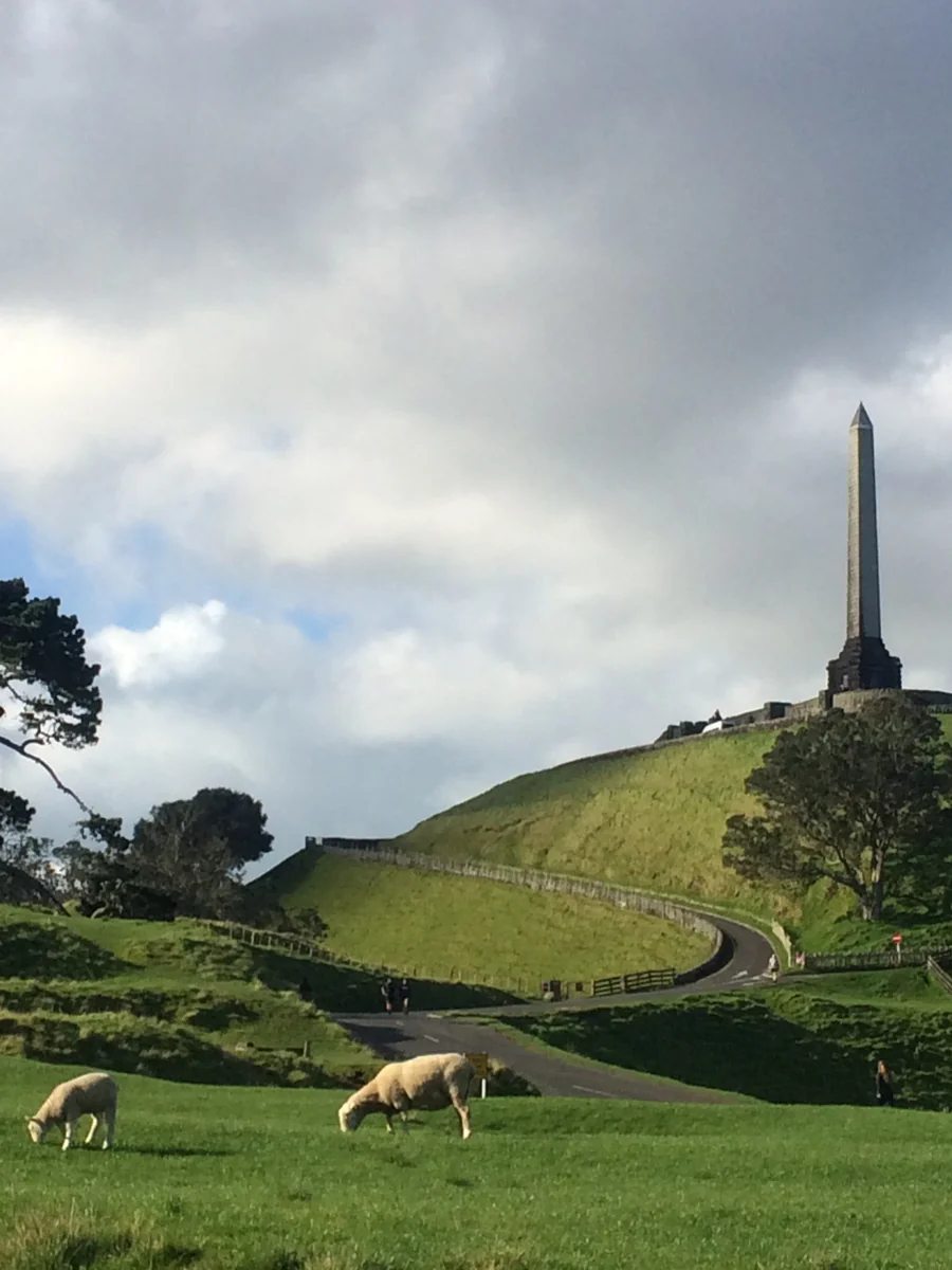 投稿写真：One tree hill