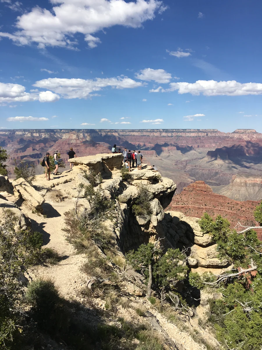 投稿写真：手すりがない