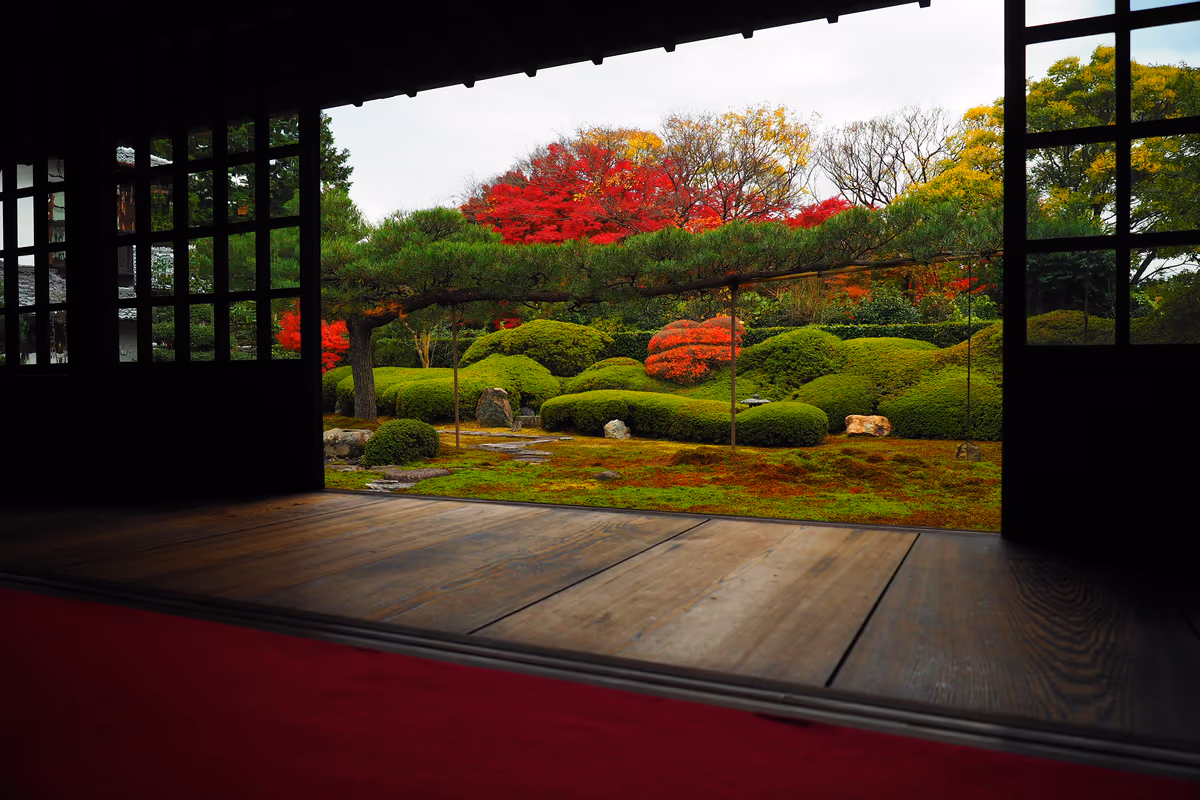 投稿写真：京都　一華院　庭園