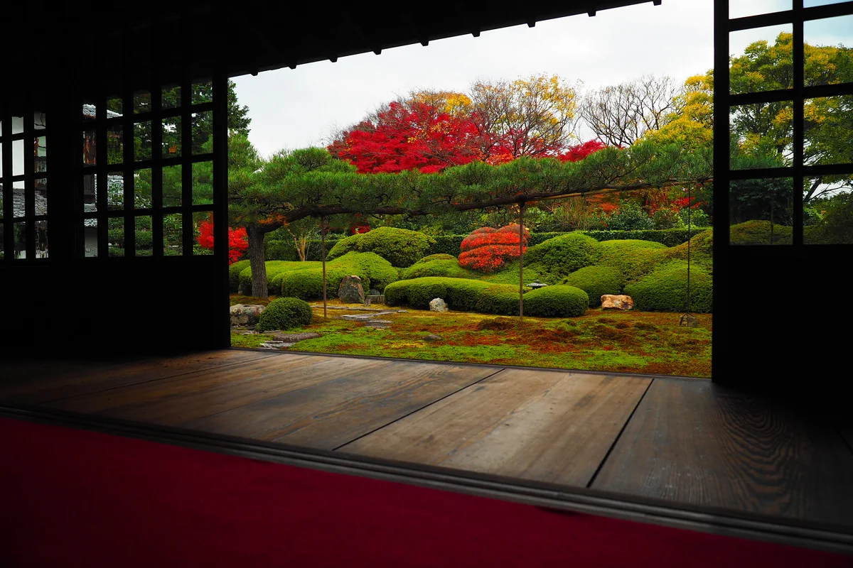 投稿写真：京都　一華院　庭園