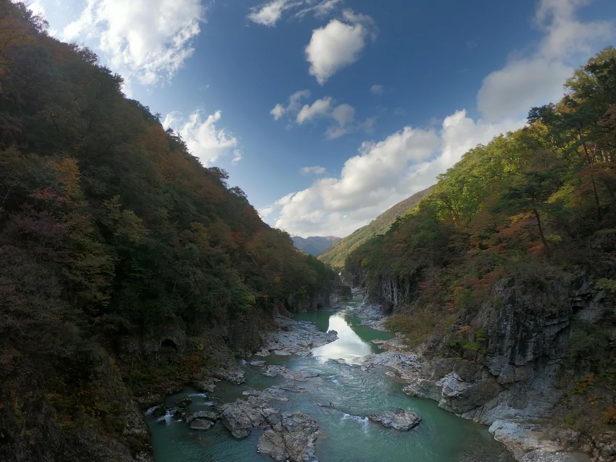投稿写真：ハイキング＠秋2018