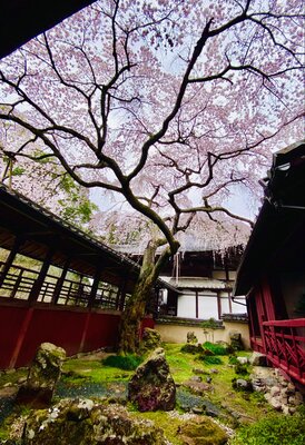  | 絶景事典