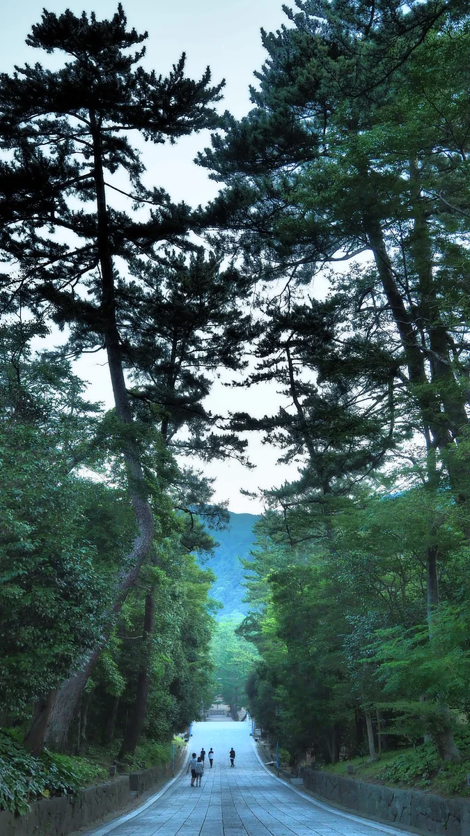 投稿写真：出雲大社　参道