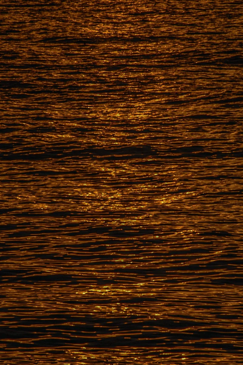 投稿写真：夕陽に染まるオホーツク海