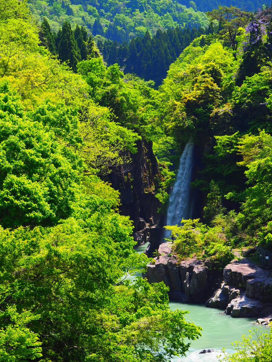 投稿写真：綿が滝