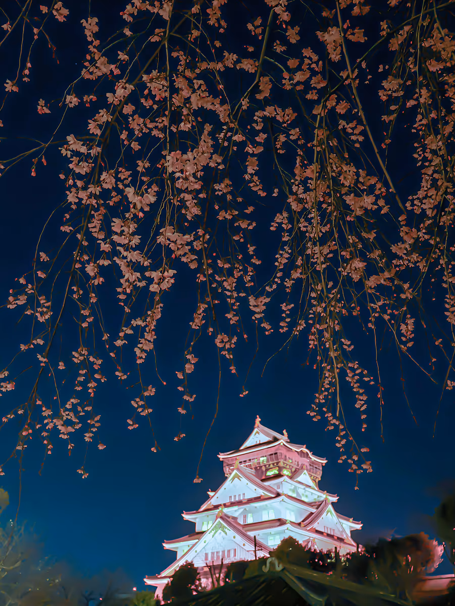 投稿写真：桜の雪が舞う大阪城