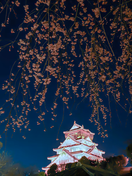投稿：桜の雪が舞う大阪城