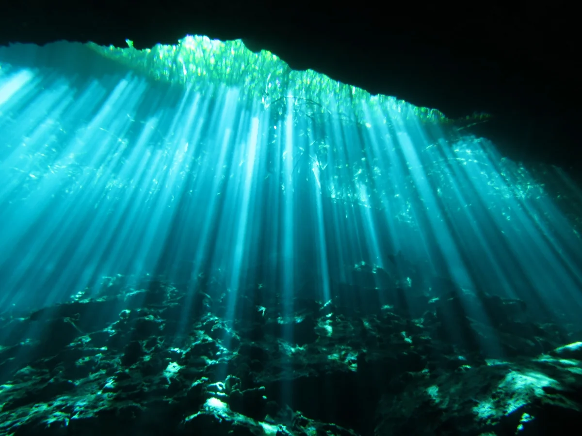 投稿写真：セノーテ